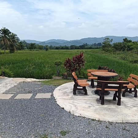 Damai D Homestay Kangar Eksteriør billede